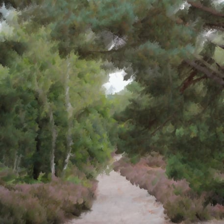 Visuel Foresta