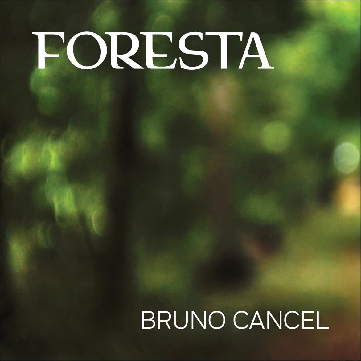 Album Foresta